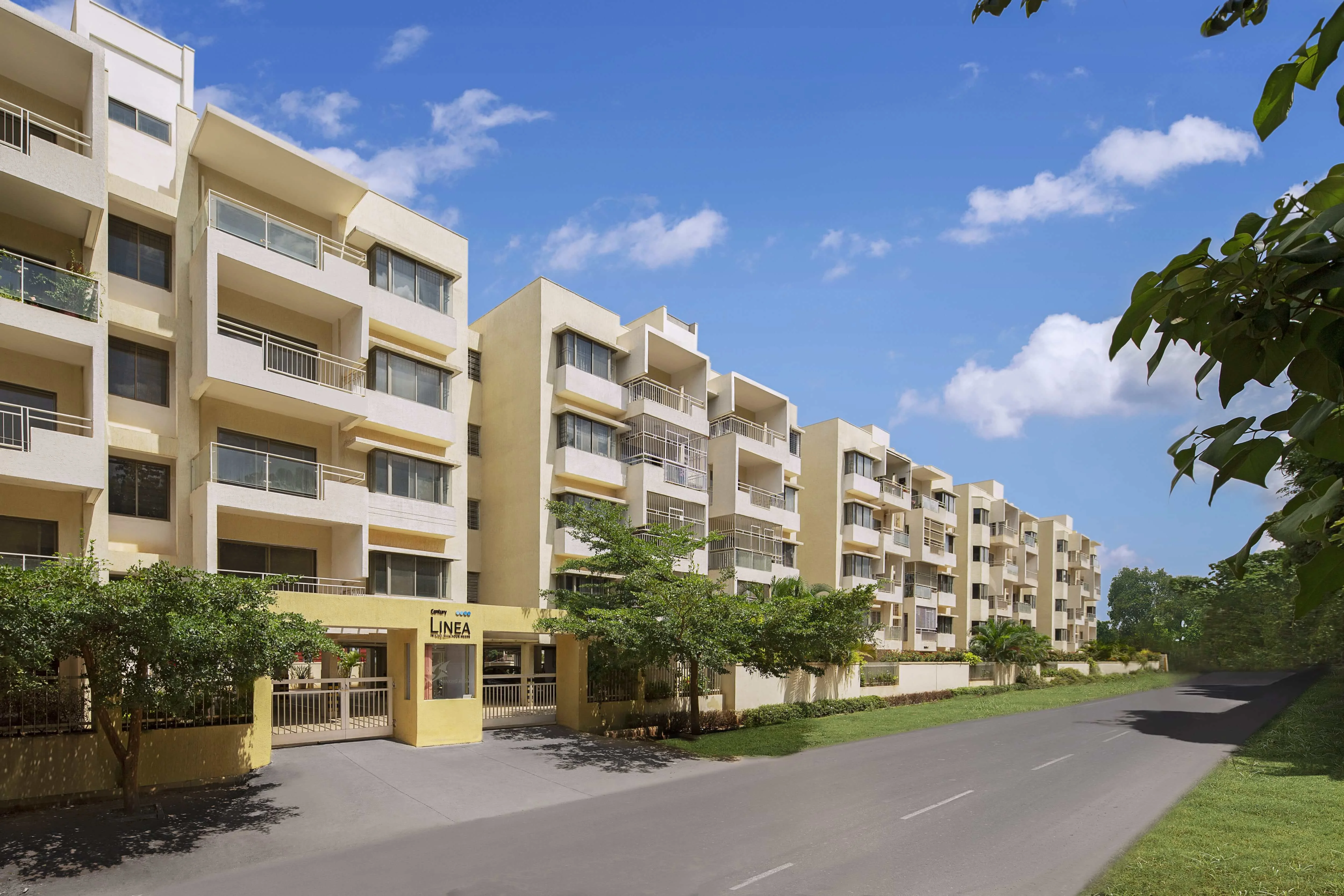 Century Linea